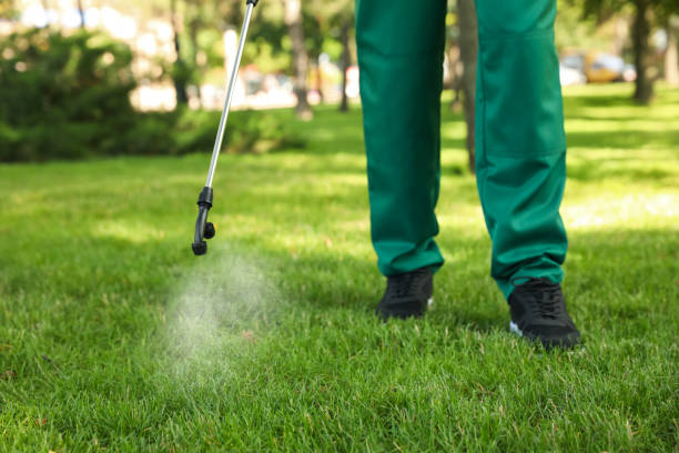 Best Pest Control Treatment  in Meadow Woods, FL
