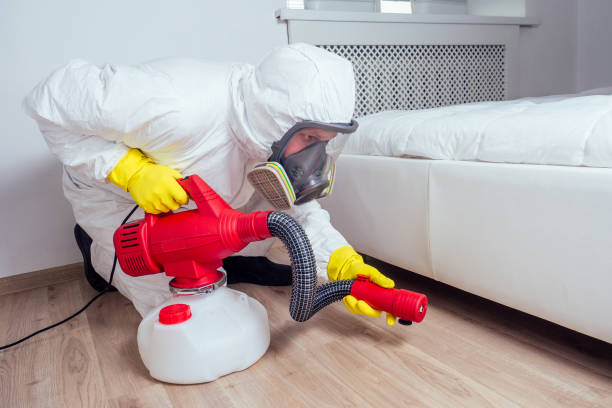 Best Emergency Pest Control  in Meadow Woods, FL