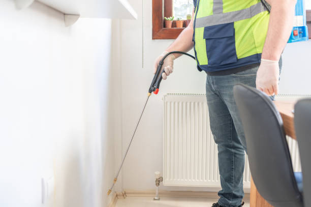Best Pest Removal Services  in Meadow Woods, FL