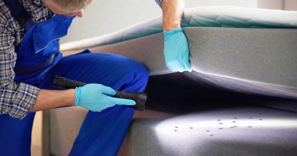 Best Flea Control Services  in Meadow Woods, FL