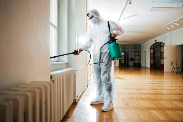 Best Rat Extermination Near Me  in Meadow Woods, FL