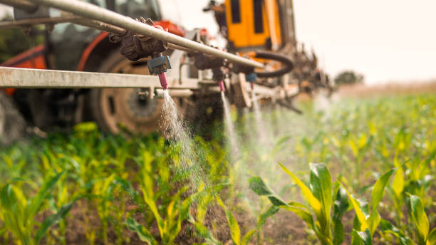 Reliable Meadow Woods, FL Pest Control Solutions